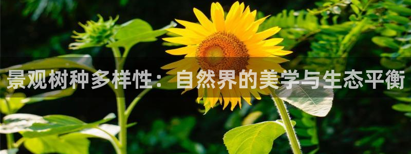 新宝gg注册：景观树种多样性：自然界的美学与生态平衡