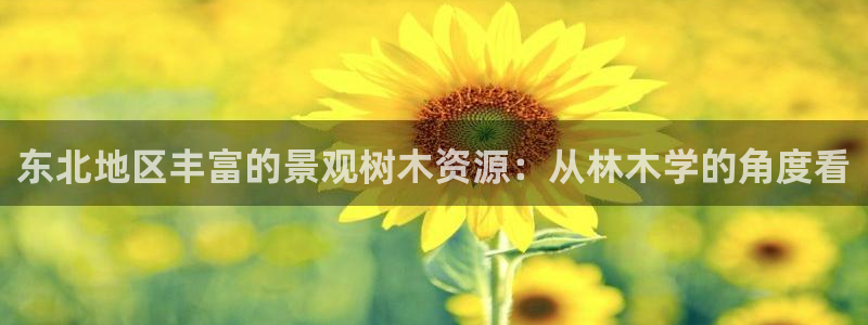 下载新宝gg怎么下载：东北地区丰富的景观树木资源：从林木学的角度看