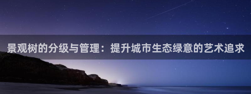 新宝GG 黑钱