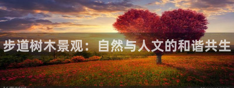 注册新宝gg：步道树木景观：自然与人文的和谐共生