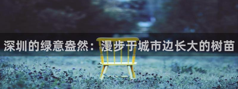 新宝gg注册登录:深圳的绿意盎然:漫步于城市边长大的树苗