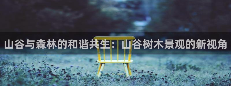 新宝GG以355051:山谷与森林的和谐共生:山谷树木景观的新视角
