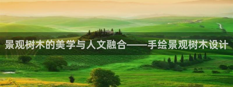 gg新宝时时彩:景观树木的美学与人文融合——手绘景观树木设计