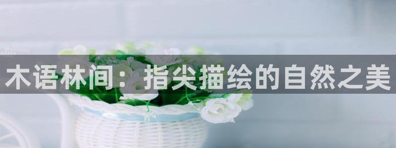 新宝gg创造奇迹下载