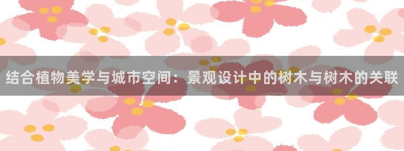 新宝gg怎么开户