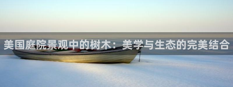 新宝新宝gg开户流程